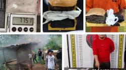 Operasi Besar Narkoba di Sumut, 342 Orang Ditangkap Termasuk Pengguna hingga Pengedar<