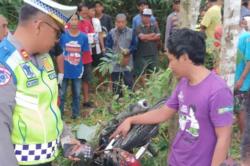 Pemotor Asal Mojokerto Tewas di Pinggir Jalan Kulonprogo, Diduga Korban Kecelakaan<