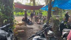 Penggerebekan Arena Sabung Ayam di Deli Serdang Diwarnai Tembakan, 17 Orang Ditangkap<