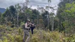 10 Pendulang Emas Tewas Diserang KKB, Aparat Evakuasi Korban dan Kejar Pelaku ke Hutan<