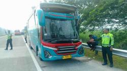 Kecelakaan Maut Bus Pariwisata dengan Truk di Tol Jombang-Mojokerto, 1 Orang Tewas 2 Luka<
