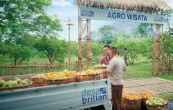 BRI Resmikan Kick-Off Desa BRILiaN 2026, Fokus Penguatan SDM dan Transformasi Desa 5.0