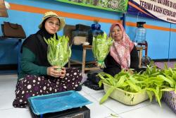 KWT Mawar 8 Bersama BRI Beri Manfaat Nyata, Hasil Panen Penuhi Kebutuhan Pangan Warga