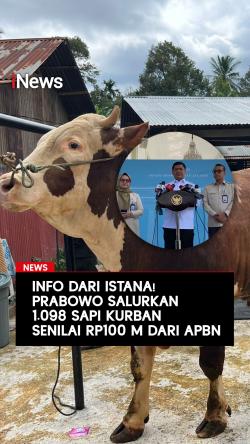 Prabowo Salurkan 1.098 Sapi Kurban Senilai Rp100 Miliar dari APBN