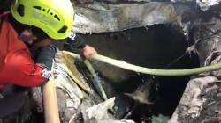 Sapi Kurban di Mojokerto Mengamuk dan Tercebur ke Septic Tank, Evakuasi Dramatis<