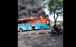 Bus Coyo Terbakar Hebat di Pantura Cirebon, Penumpang Panik Berhamburan<