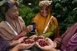 BRI Salurkan KUR Rp65,95 Triliun, Jangkau 558.000 Petani dan 23.000 Nelayan