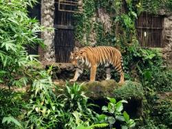 35.000 Orang Liburan Iduladha 2026 ke Ragunan, Healing Sat Set Favorit Warga Jabodetabek!