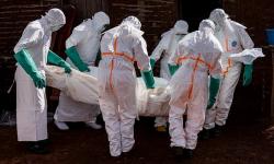 WHO Peringatkan Outbreak Ebola Menyebar Lebih Cepat dari Perkiraan, 1.000 Kasus Terdeteksi!