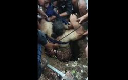 Wanita Obesitas di Situbondo Terperosok Septic Tank Sedalam 4 Meter, Evakuasi Dramatis!<