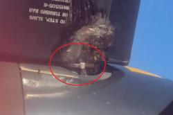 Viral Ada Pengikat Kabel di Baling-Baling Pesawat, Wings Air: Bukan Kerusakan