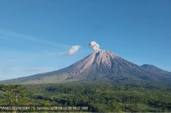 Gunung Semeru Erupsi Pagi Ini, Kolom Abu Membubung 800 Meter dari Puncak<