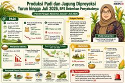 BPS Ungkap Produksi Padi dan Jagung Berpotensi Menurun hingga Juli 2026, Ini Penyebabnya