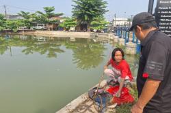 Heboh! Ribuan Ikan Mati Mengambang di Irigasi Karawang, Ada Apa?<