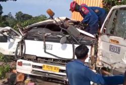 Pohon Tumbang Timpa Truk Kontainer di Karawang, Sopir dan Penumpang Tewas<