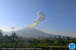Gunung Lewotobi Laki-laki Meletus, Semburkan Abu Vulkanis Setinggi 1,5 Km<