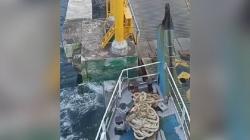 Gelombang Tsunami Terjang Sulut Dampak Gempa Besar, Ketinggian Bervariasi<