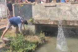 Tepergok Beraksi, Maling Motor di Indramayu Diamuk Massa hingga Lompat ke Sungai