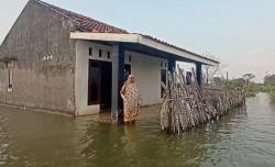 Kisah Pilu Nenek Siti di Kendal, Rumah Dikepung Rob tanpa Listrik dan Tetangga<