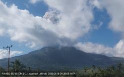 Gunung Lewotobi Laki-laki Erupsi, Muntahkan Kolom Abu Tebal Setinggi 1.000 Meter<