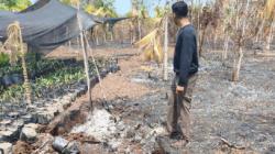 Kebakaran 180 Hektare Lahan di Bengkalis, 1 Orang Ditetapkan Tersangka