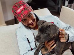 Heboh! Putra Tunggal Liam Payne Terima Warisan Rp518 Miliar