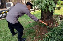 Benda Diduga Mortir Ditemukan di Anjungan TMII, Gegana Turun Tangan
