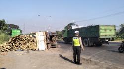 Hilang Keseimbangan Saat Manuver Putar Balik, Truk Bermuatan Kayu Terguling di Sidoarjo