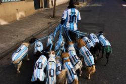 Demam Piala Dunia, 13 Anjing Pakai Jersey Timnas Argentina Curi Perhatian di Buenos Aires