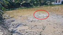 Gelembung Gas Muncul Pascasemburan Lumpur di Aceh Timur, Warga Masih Mengungsi