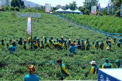 Teknologi Insektisida Bermekanisme Ganda Diperkenalkan di Lahan Demplot Hortikultura