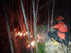 BNPB: 3 Daerah di Pulau Jawa Dilanda Karhutla, 8 Hektare Lahan Terbakar
