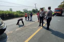Olah TKP Kecelakaan Maut di Indramayu Tewaskan 12 Orang, Mobil Pikap Ditabrak 2 Truk