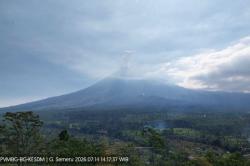 Gunung Semeru Erupsi Siang Ini, Semburkan Abu Tebal Setinggi 800 Meter