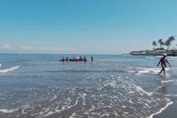 Paus Terdampar di Pantai Perancak Jembrana, Warga Berjibaku Evakuasi Dorong ke Laut