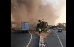 Kebakaran Ilalang di Pinggir Tol Jakarta-Cikampek, 3 Truk Ekspedisi Hangus