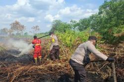 Karhutla Bengkalis Meluas Capai 80 Hektare, Water Bombing Dikerahkan Padamkan Api