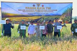 Panen Raya Serentak, Gubernur Kalteng Ajak Masyarakat Wujudkan Lumbung Pangan Nasional
