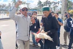 Bupati Lalu Ahmad Zaini Ditangkap KPK, Warga Potong Ayam di Kantor Pemkab Lobar