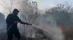 Kebakaran Hutan Hanguskan Belasan Hektare di Gunung Ciremai
