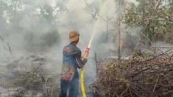 Karhutla Meluas di Palangka Raya, 6 Hektare Lahan Gambut Terbakar