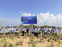 Hari Mangrove Sedunia, PNM Hadirkan Dampak Berantai bagi Lingkungan dan Ekonomi Pesisir