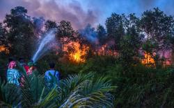 Titik Kebakaran Lahan di Ogan Ilir Bertambah