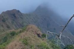 2 Pendaki Gunung Piramid Ditemukan Tewas di Jurang, Evakuasi Dilanjutkan Besok