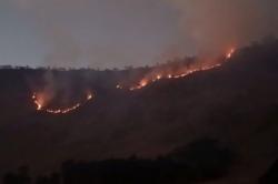Kebakaran Hutan Kawasan TNBTS, 2 Pintu Masuk Wisata Bromo Ditutup Sementara