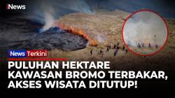 Kebakaran Bromo Hari Ketiga, 51 Hektare Hutan dan Sabana Hangus Terbakar
