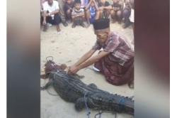 Buaya Hitam 3 Meter Terjerat Jaring di Kendari, Warga Gelar Ritual Adat Tolak Bala