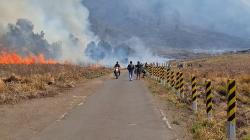 Hari Ketiga, Kebakaran Savana Gunung Bromo Belum Berhasil Dipadamkan