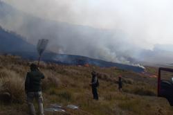 Kawasan Gunung Bromo Terbakar hingga 60 Hektare, Jalur Wisata Ditutup Sementara