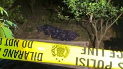Wanita Ditemukan Tewas dengan Luka Bacok di Pasuruan, Polisi Temukan Bukti Petunjuk di TKP